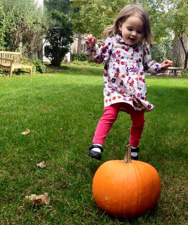 Fall Harvest Festival